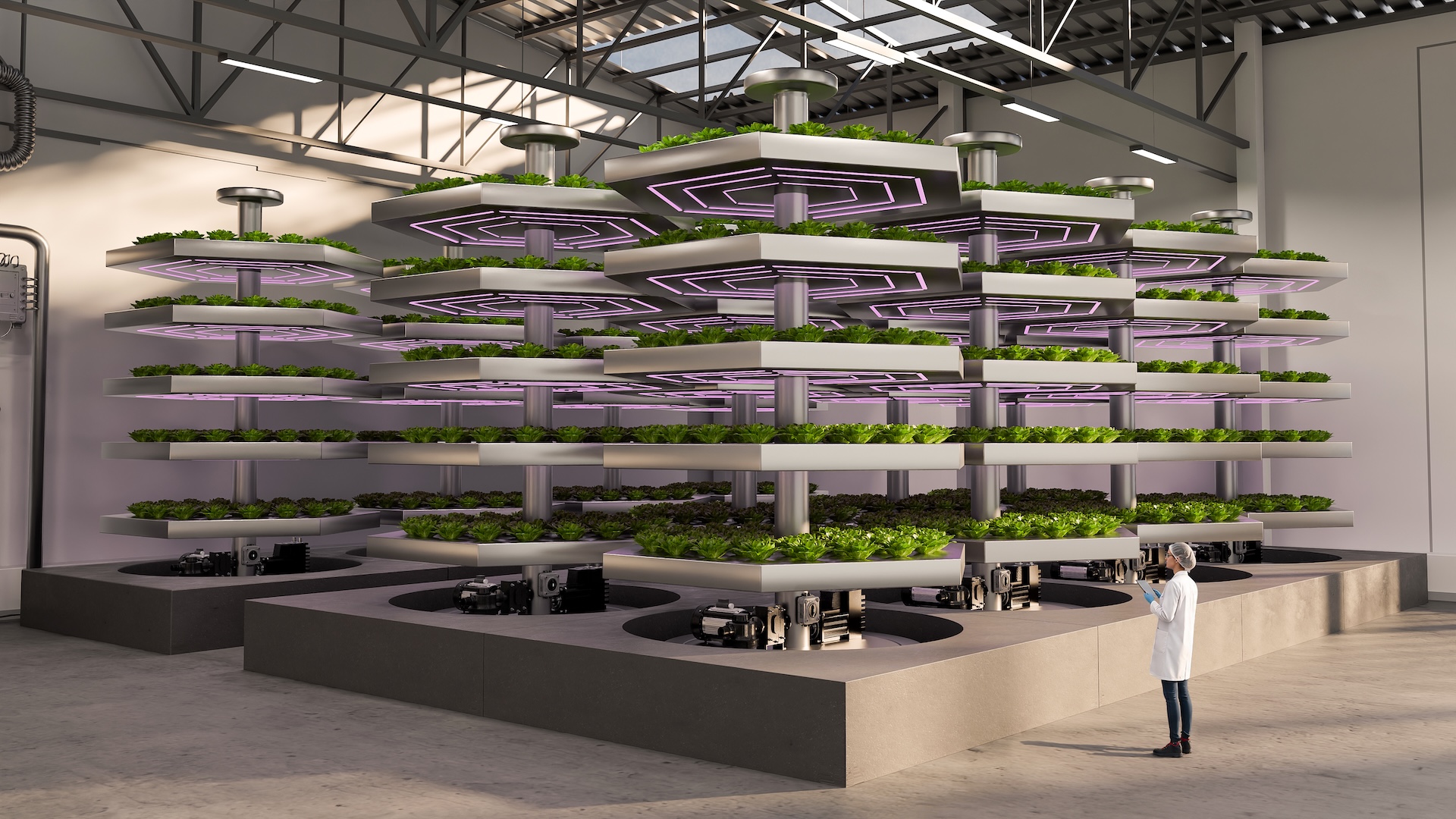 Installation hydroponique en environnement contrôlé